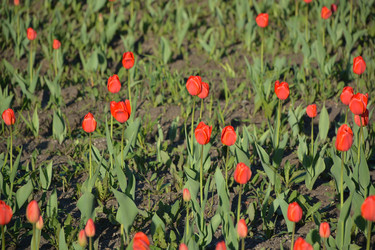 Similar image 22085522