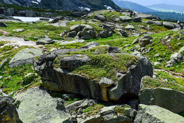 Similar image 22083421