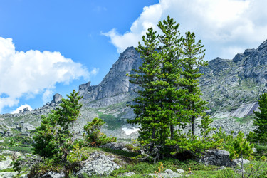 Similar image 22083461