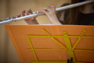 Similar image 22092504