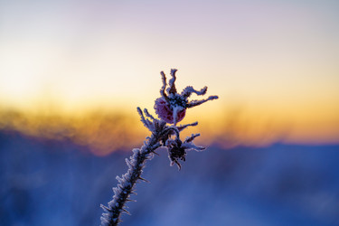 Similar image 22080540