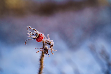 Similar image 22080549