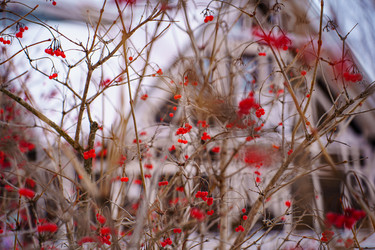 Similar image 22080564