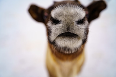 Similar image 22080575