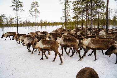 Similar image 22080576