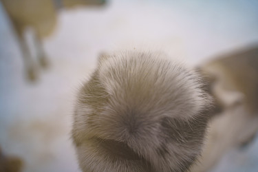 Similar image 22080578