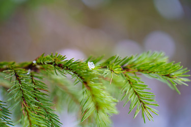 Similar image 22080583