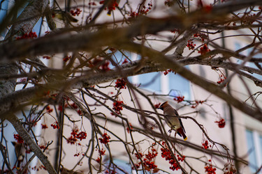 Similar image 22080584