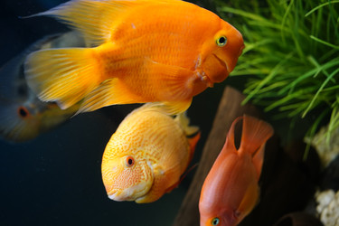 Similar image 22080588