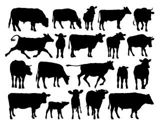 Similar image 22080067