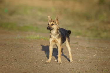 Similar image 22080086