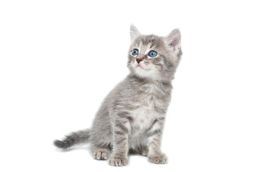 Similar image 22080119