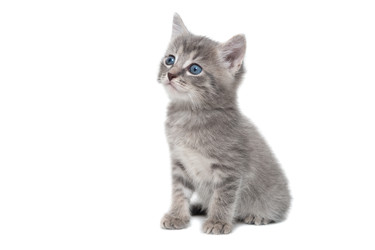 Similar image 22080126