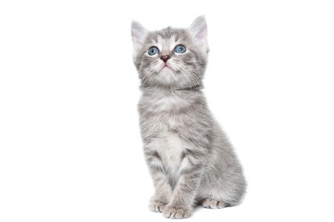 Similar image 22080344