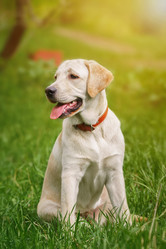 Similar image 22080346