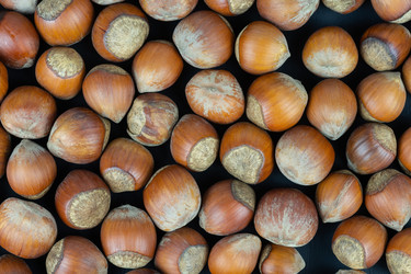 Similar image 22080348