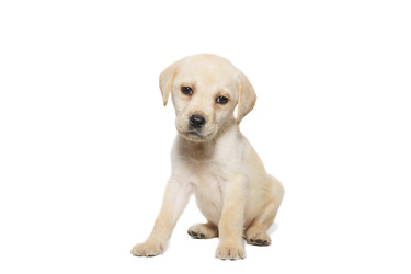 Similar image 22080350