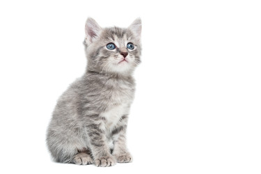 Similar image 22080351