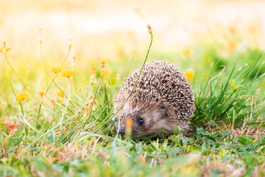 Similar image 22081542