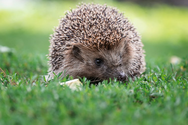 Similar image 22081543