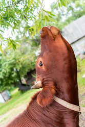 Similar image 22081837