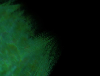 Similar image 22083912