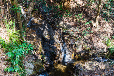 Similar image 22086101