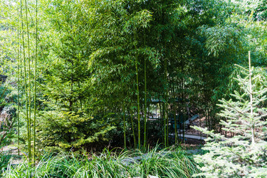 Similar image 22086107