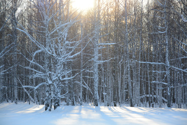 Similar image 22080068