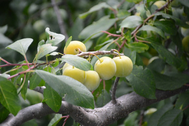 Similar image 22084156