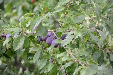 Similar image 22084157