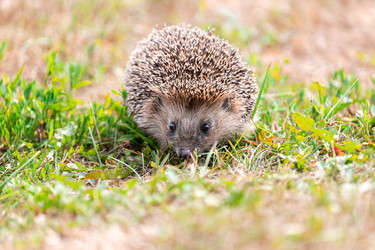 Similar image 22080358