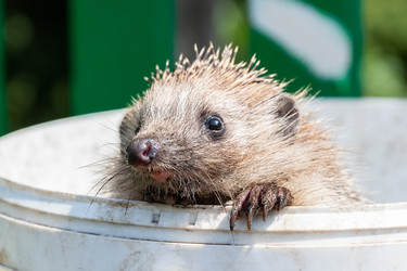 Similar image 22080360