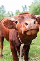 Similar image 22080361