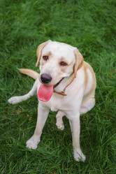 Similar image 22080369