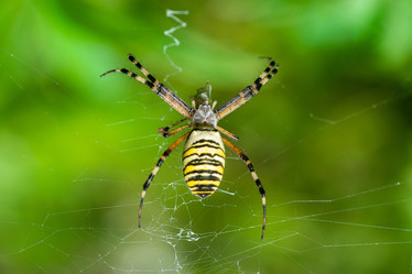 Similar image 22080372