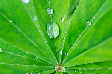 Similar image 22080373