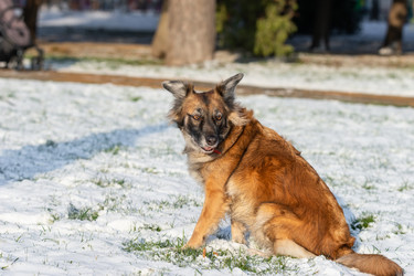 Similar image 22081546