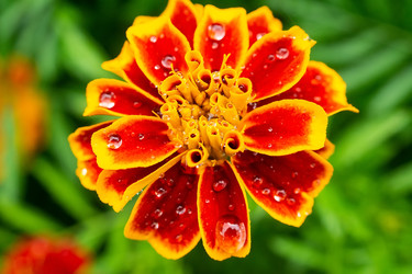 Similar image 22081547