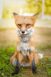 Similar image 22081842