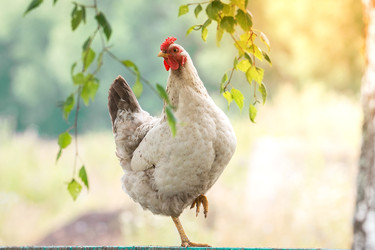 Similar image 22081848