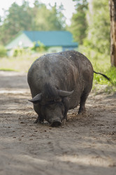 Similar image 22081849