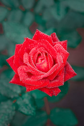 Similar image 22081854