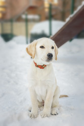 Similar image 22081855