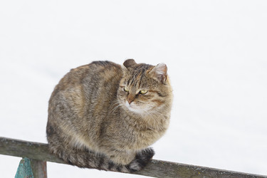 Similar image 22081857