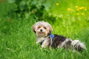 Similar image 22081858