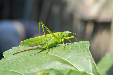 Similar image 22081859