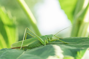 Similar image 22081862