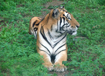 Similar image 22085221