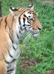 Similar image 22085222